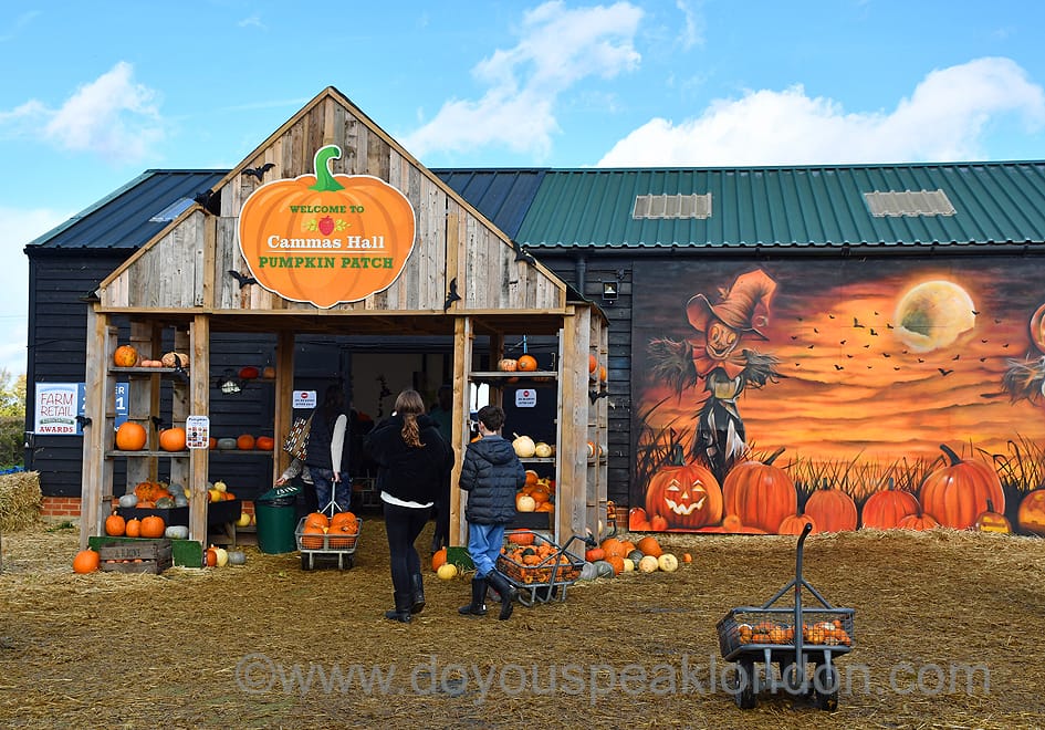 Cammas Hall Farm pumpkin patch barn at Halloween