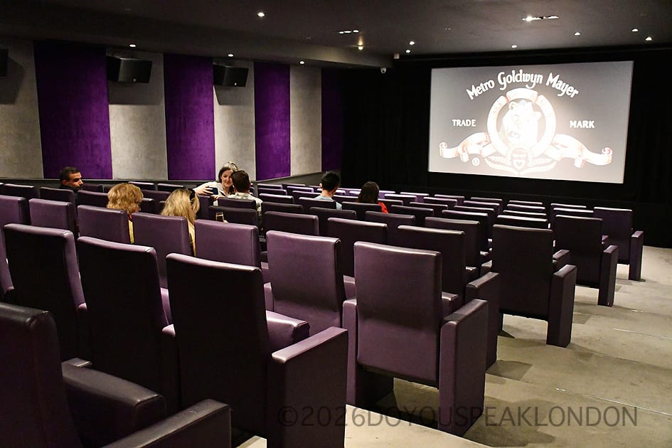 Classic film screening in the Courthouse Hotel private cinema