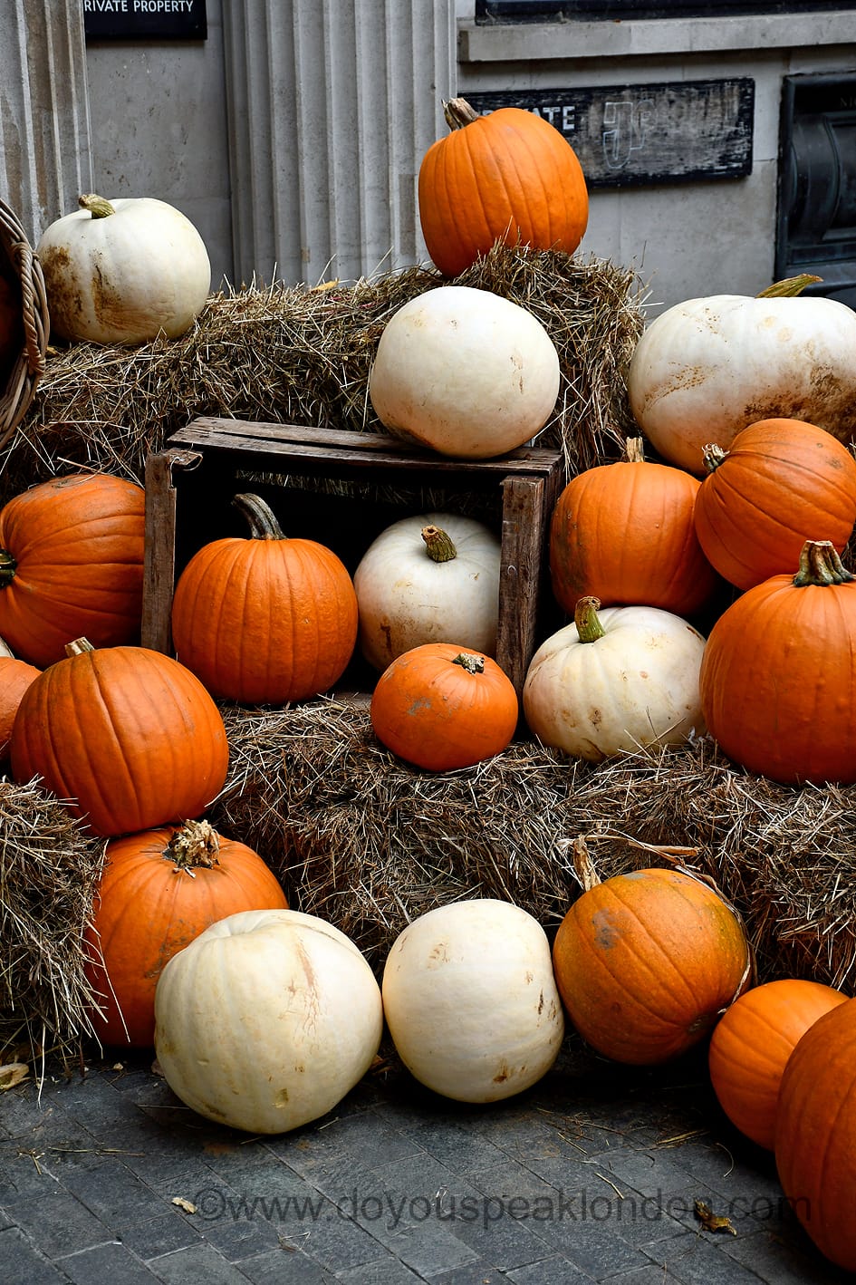 Pumpkins for Halloween in London