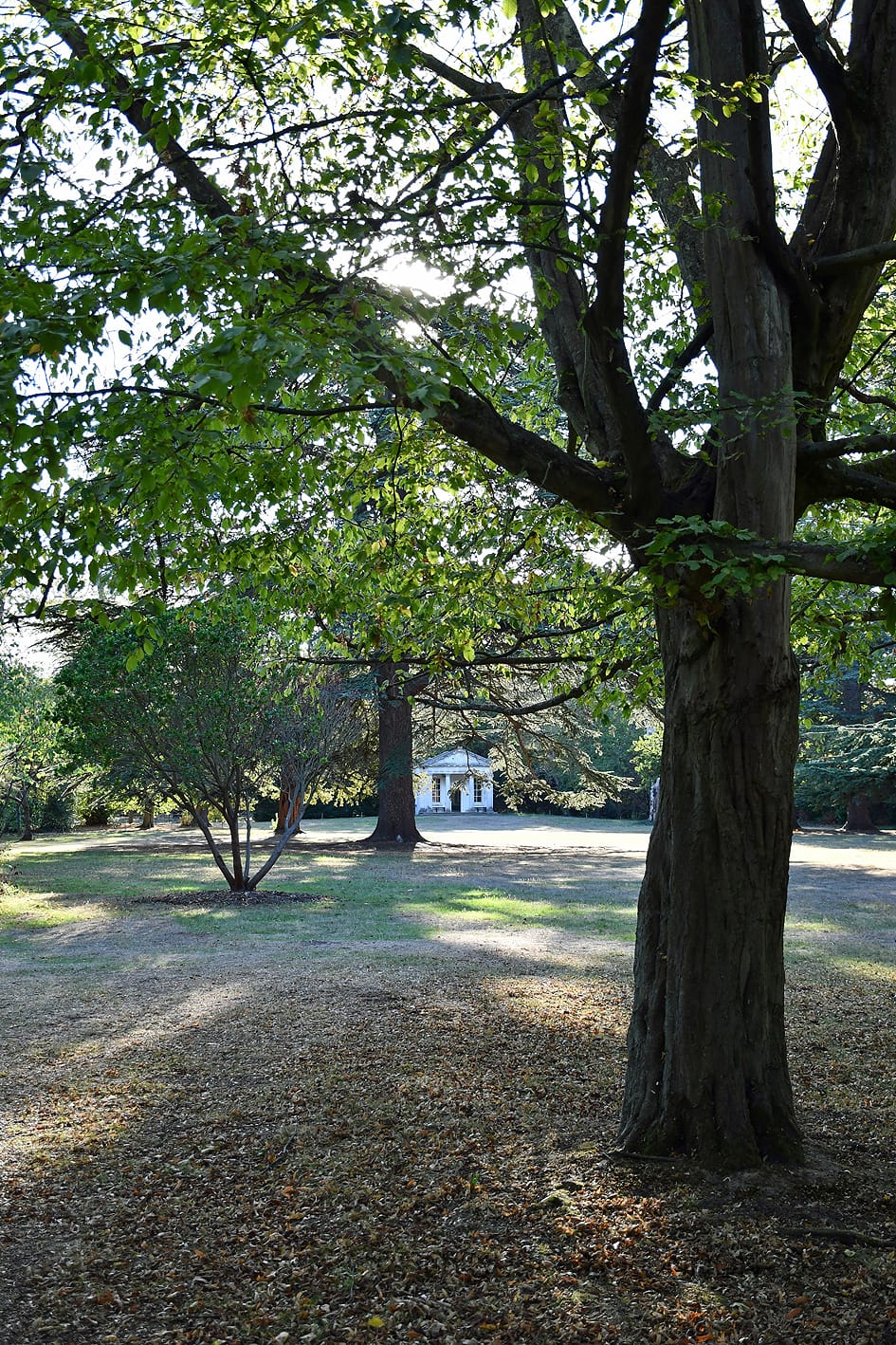 Tall tree and small garden temple in the pleasure grounds of Osterley Park