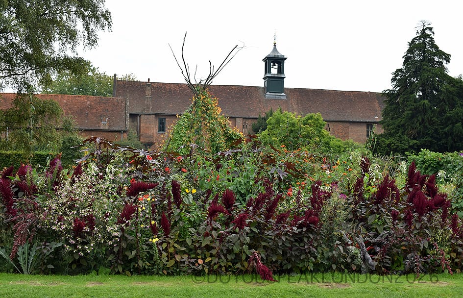 Tudor stables and clock tower behind colourful flower borders at Osterley Park