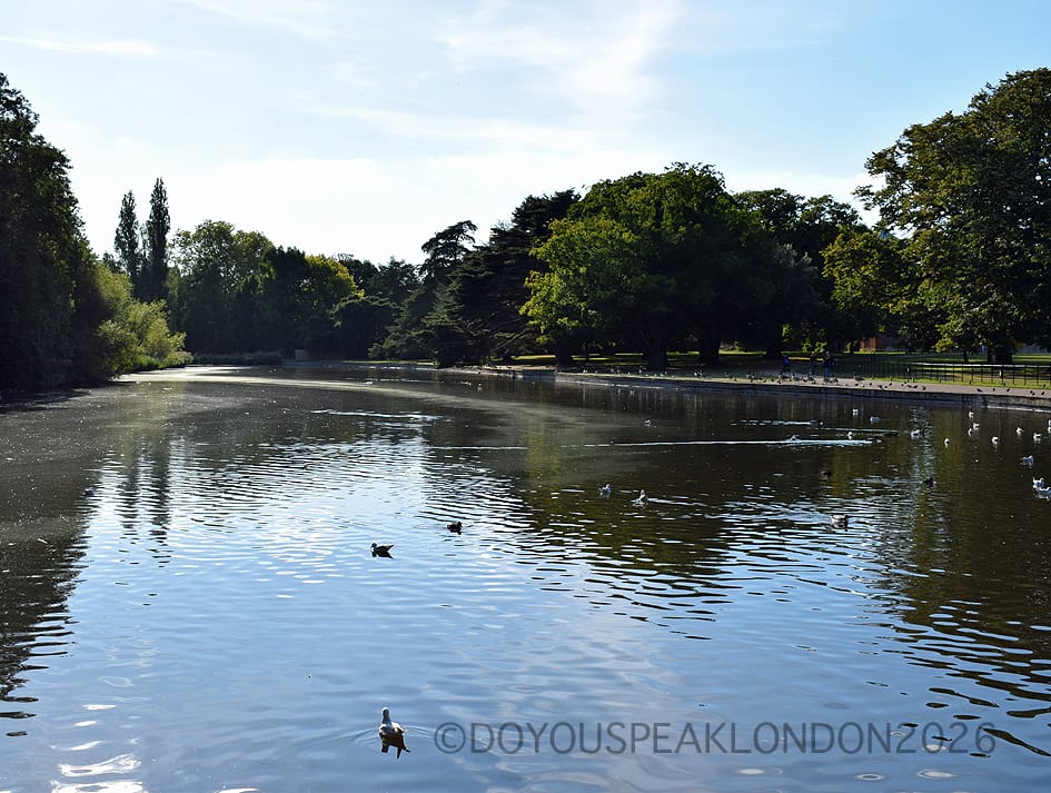 Lake at Osterley Park with ducks and trees reflected in the water
