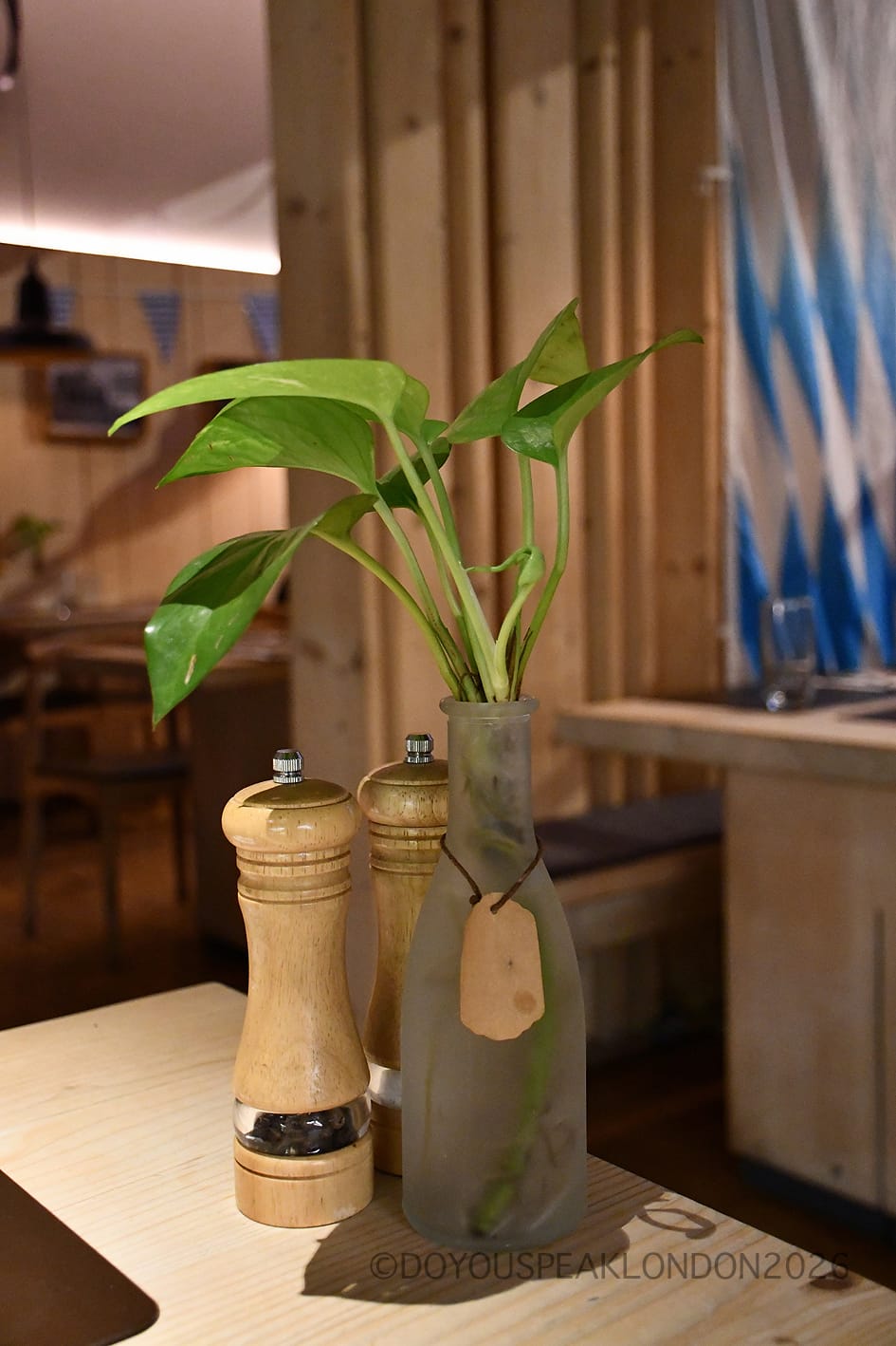 Plant, pepper mill and salt mill on a wooden table at Stein's Berlin