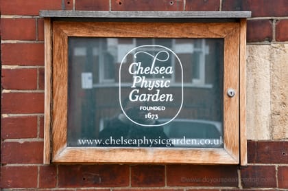 Chelsea Physic Garden: London’s best-kept botanical secret!