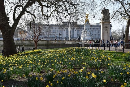 5 reasons to take a royal walk in St James's Park