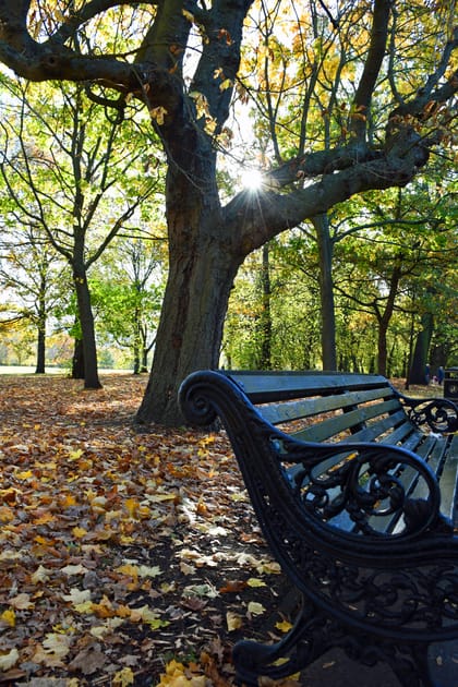 London in autumn: FREE ways to fall madly in love with the city 🍂