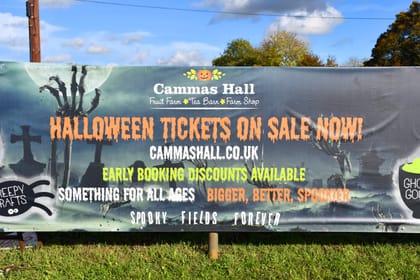 Halloween at Cammas Hall Farm: a terror tunnel and a sea of pumpkins!