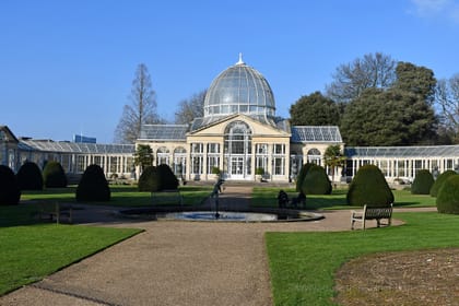 Syon Park: the perfect afternoon getaway in West London!