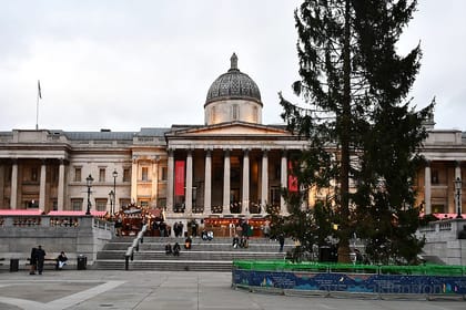 The best Christmas trees in London you must see!