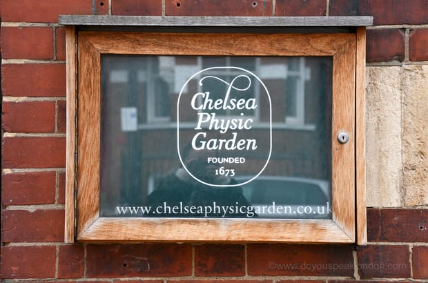 Chelsea Physic Garden: London’s best-kept botanical secret!