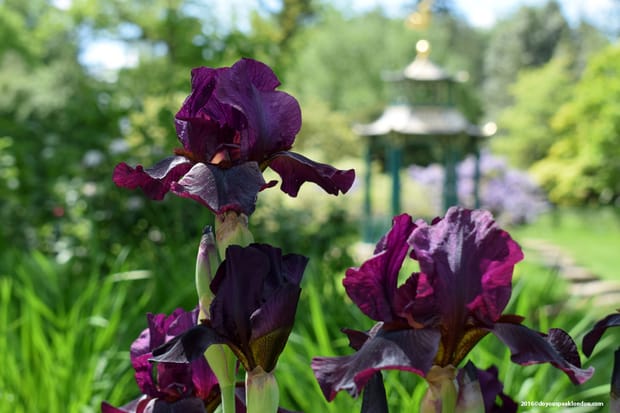 A day at Cliveden House and Gardens, England’s historic estate