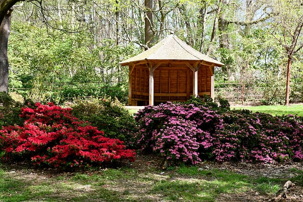 5 unmissable reasons to explore Isabella Plantation