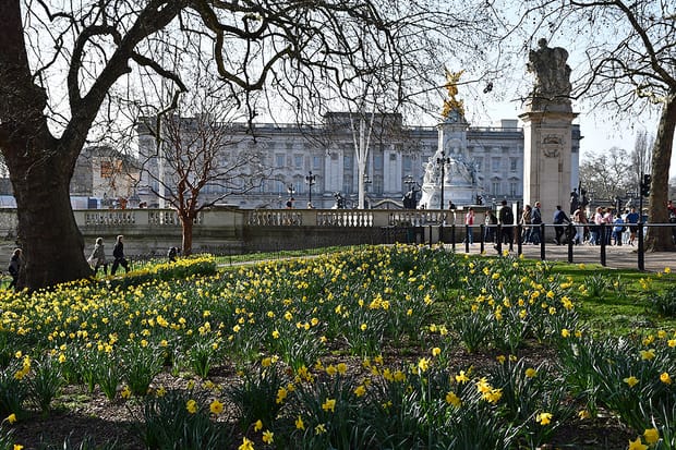5 reasons to take a royal walk in St James's Park