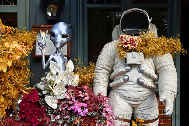 Chelsea in Bloom: a guided walk through London's most stylish streets