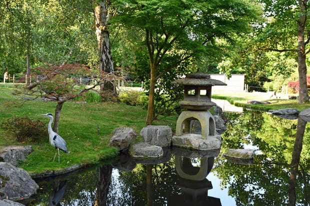 10 unmissable things to see in Holland Park, London