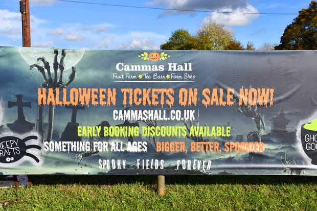 Halloween at Cammas Hall Farm: a terror tunnel and a sea of pumpkins!