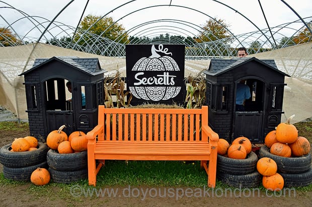 Secretts Farm pumpkin week: skeletons, pirates and pumpkins!