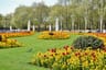 7 stunning FREE places to see tulips in London